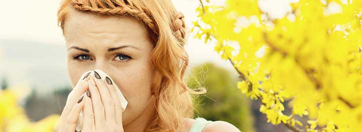 How to Fight Summer Allergies This Year